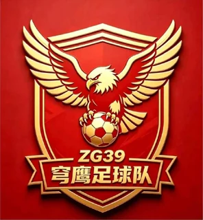 穹鹰球队